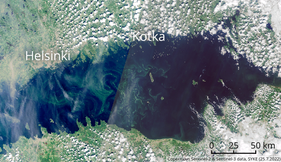 Satelliittikuvassa näkyvät sinileväkukinnot Suomenlahdella 25.7.2022.